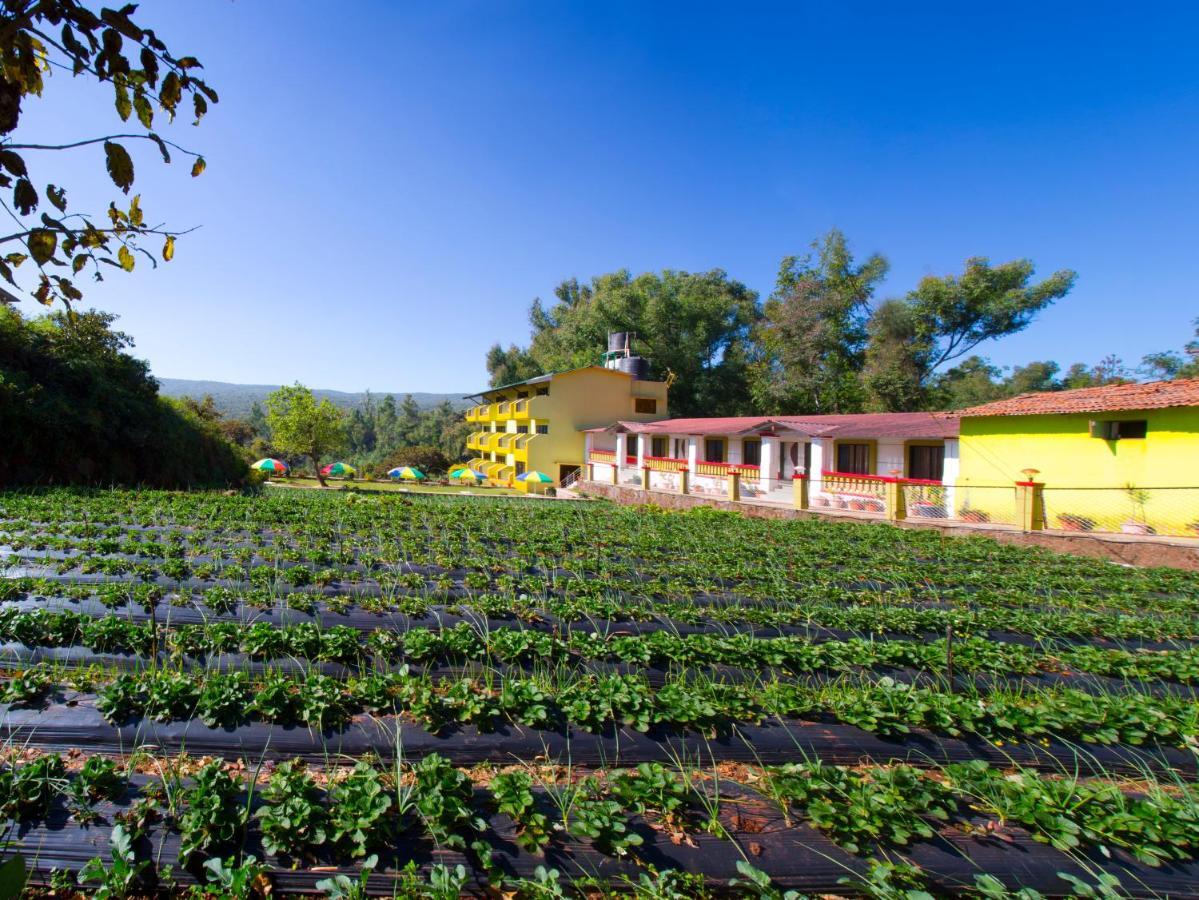 Hirkani Garden Hotel Mahābaleshwar Eksteriør bilde